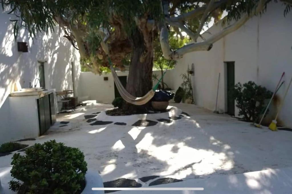 Lovely Studio In Original Finca La Asomada  Eksteriør bilde